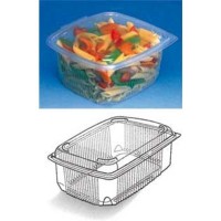 CONTAINERS WITH LID FOR HOT...